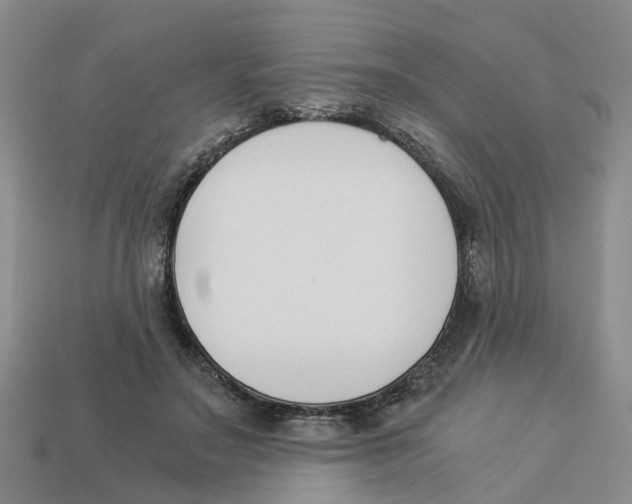 X0000113170499200910021525
