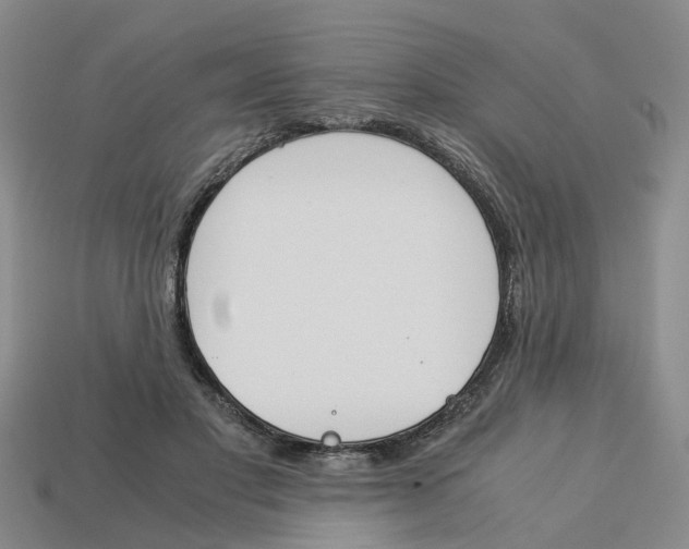 X0000113170501200910021525
