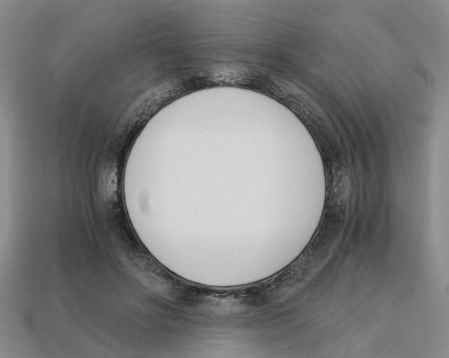 X0000113170502200910021525