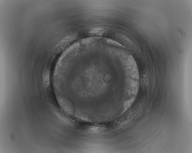 X0000113170504200910021525