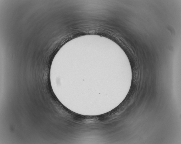 X0000113170505200910021525