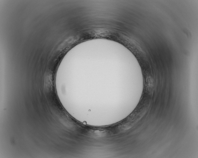 X0000113170506200910021525