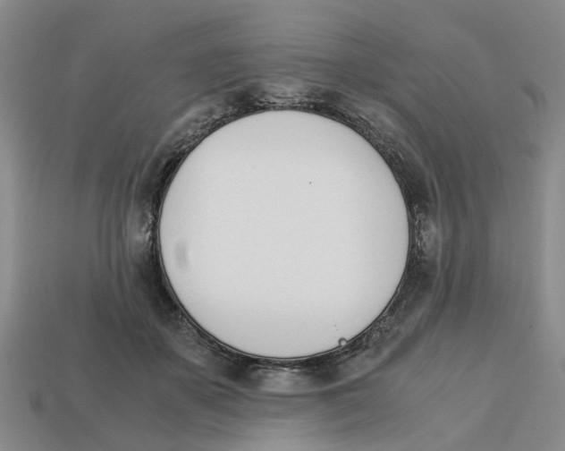 X0000113170507200910021525