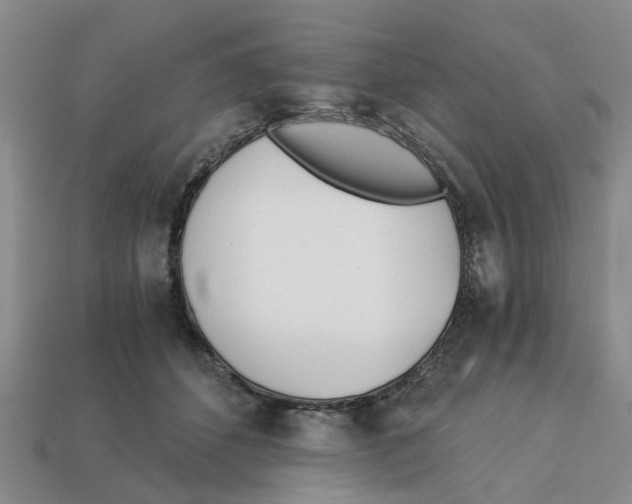 X0000113170512200910021525