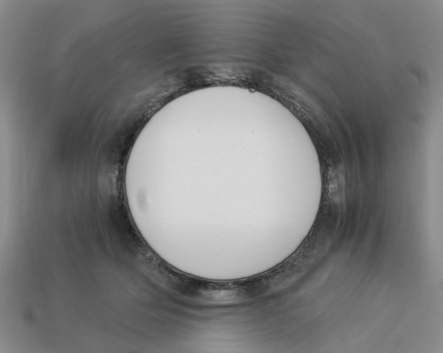 X0000113170514200910021525