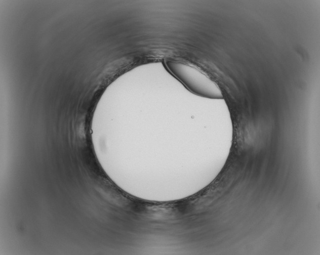X0000113170516200910021525