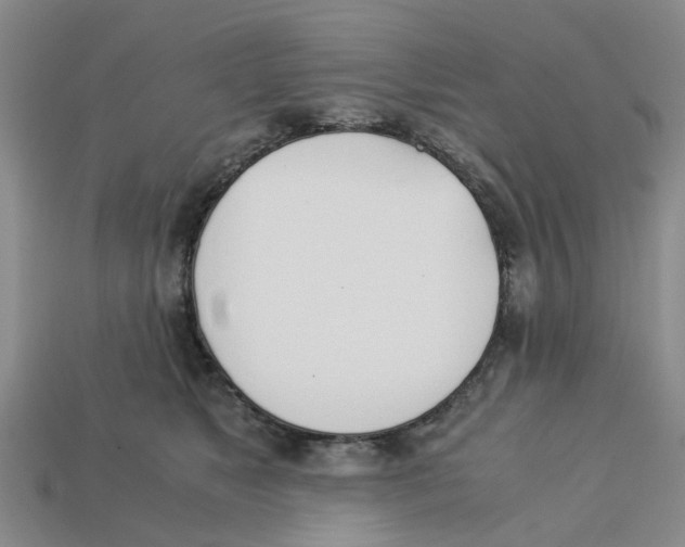 X0000113170517200910021525