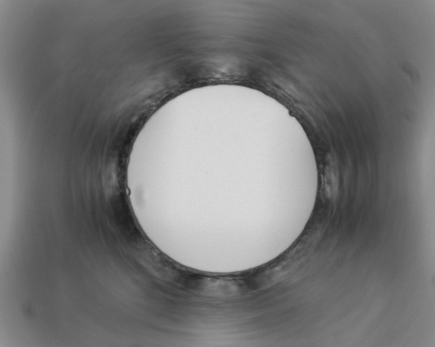 X0000113170520200910021525
