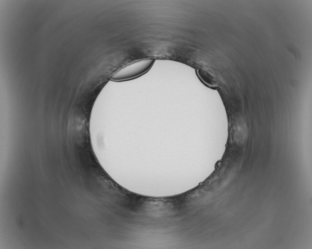 X0000113170521200910021525