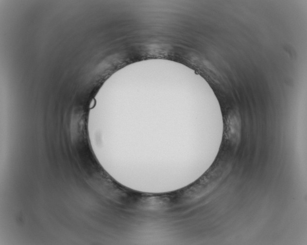 X0000113170522200910021525