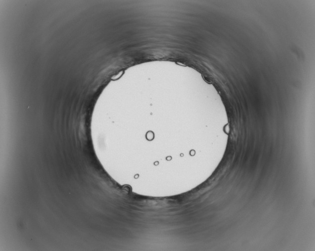 X0000113170524200910021525