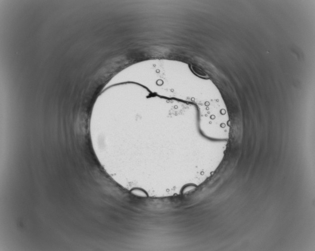 X0000113170525200910021525