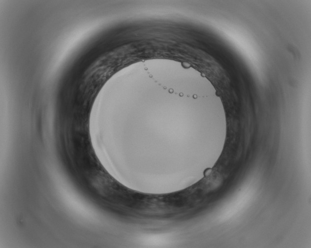 X0000113170526200910021525