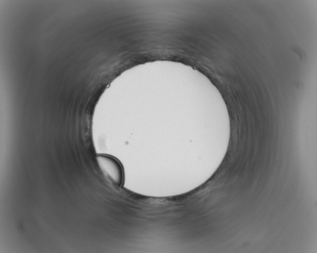 X0000113170528200910021525