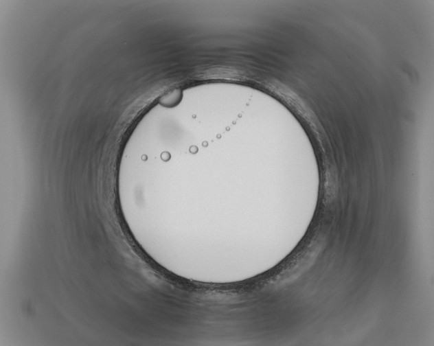 X0000113170529200910021524