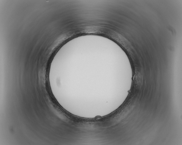 X0000113170530200910021524