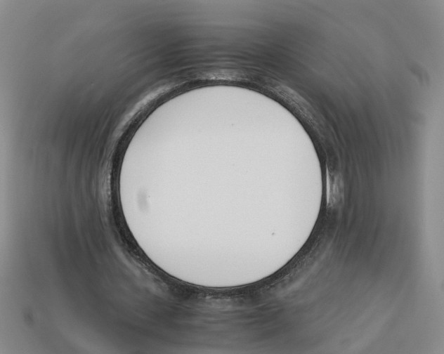X0000113170531200910021524