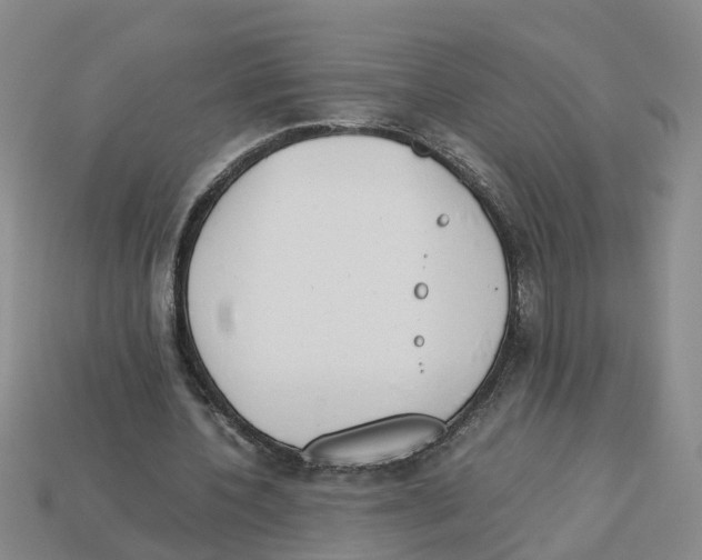 X0000113170532200910021524