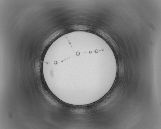 X0000113170533200910021525