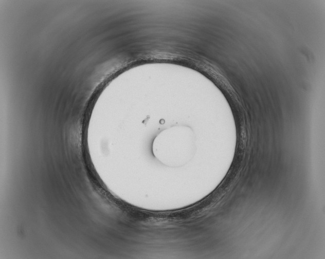 X0000113170534200910021525