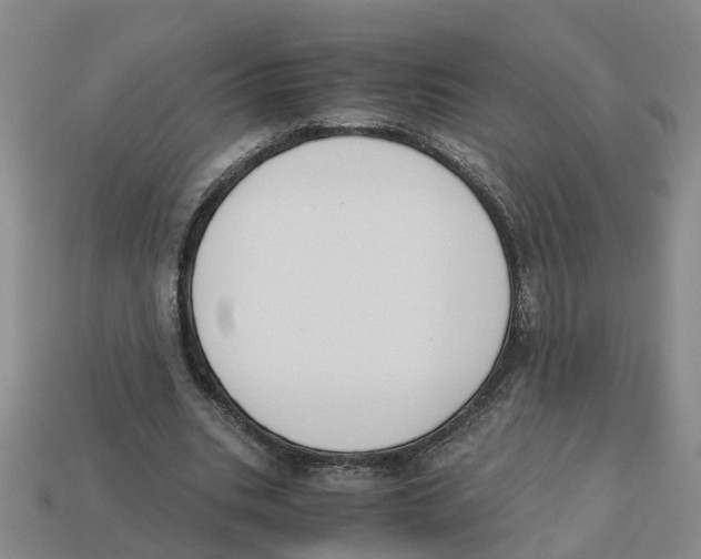 X0000113170535200910021525