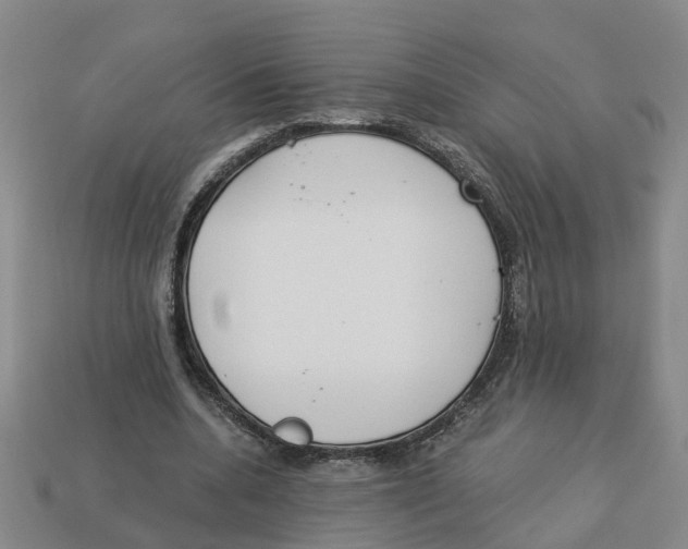 X0000113170536200910021525