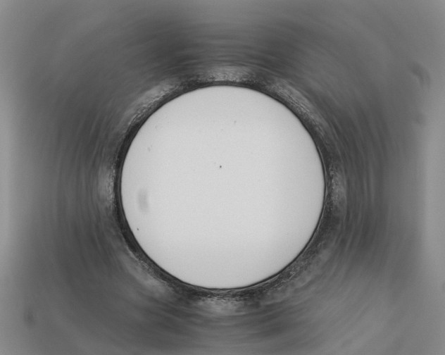 X0000113170537200910021525