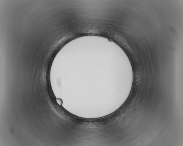 X0000113170538200910021525