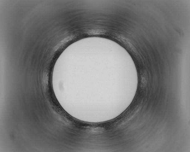 X0000113170539200910021525