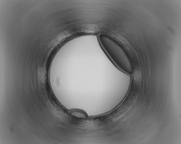 X0000113170540200910021525