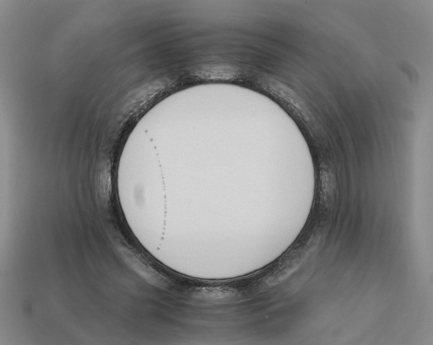 X0000113170541200910021525
