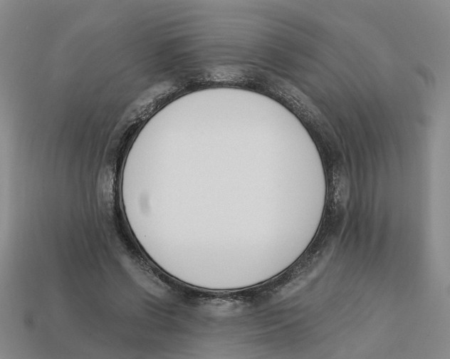X0000113170542200910021525