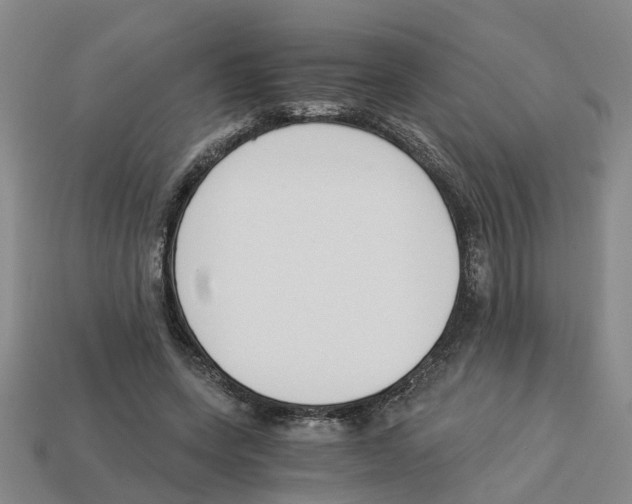 X0000113170543200910021525