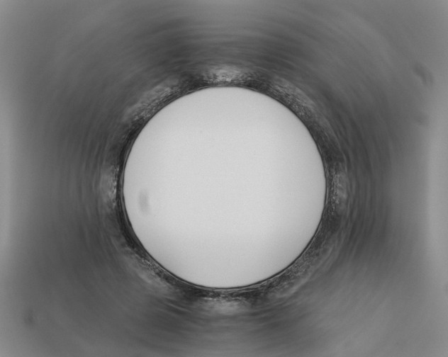 X0000113170545200910021525