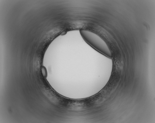 X0000113170546200910021525