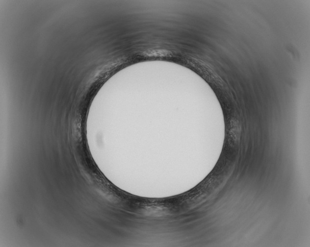 X0000113170547200910021525