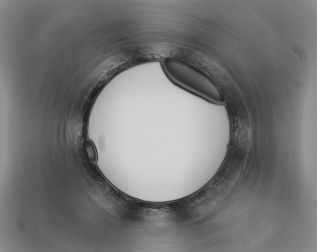 X0000113170548200910021525