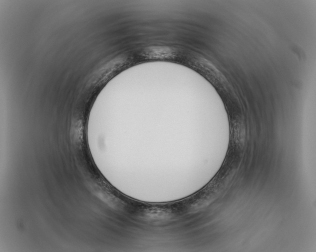 X0000113170549200910021525