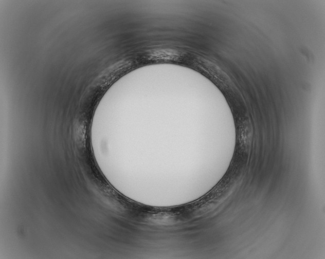 X0000113170551200910021525