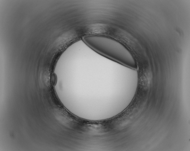 X0000113170552200910021525