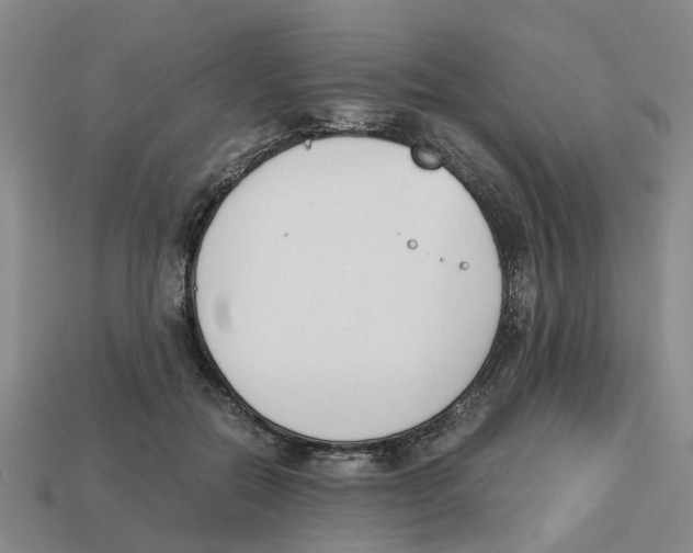 X0000113170554200910021525