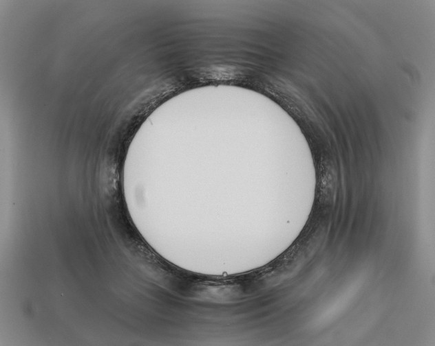 X0000113170555200910021525