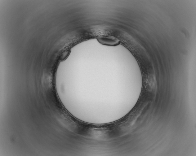 X0000113170556200910021525