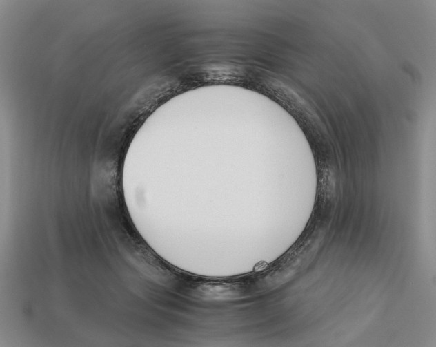 X0000113170557200910021525