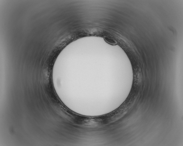 X0000113170558200910021525