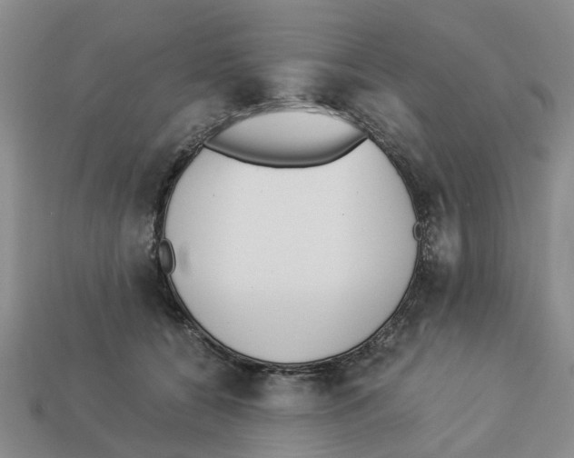 X0000113170560200910021525