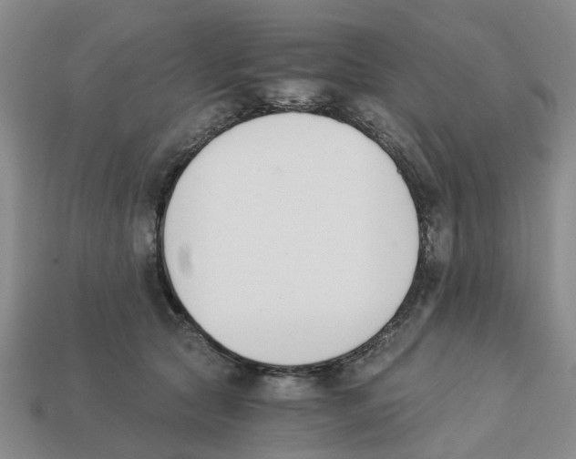 X0000113170561200910021525