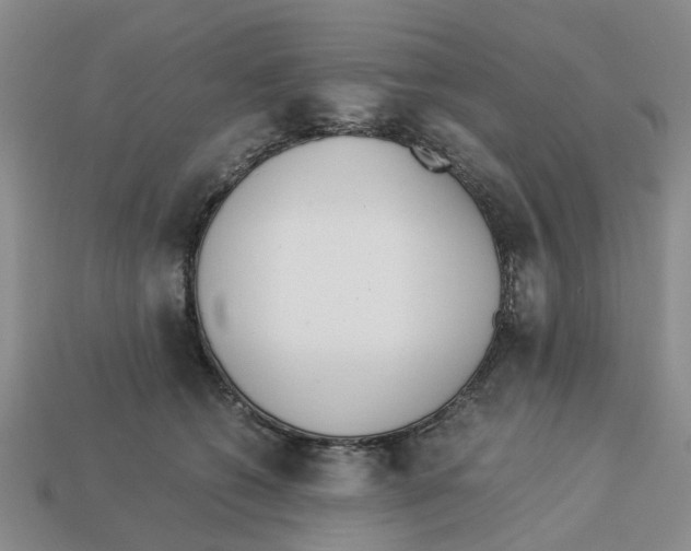 X0000113170562200910021525