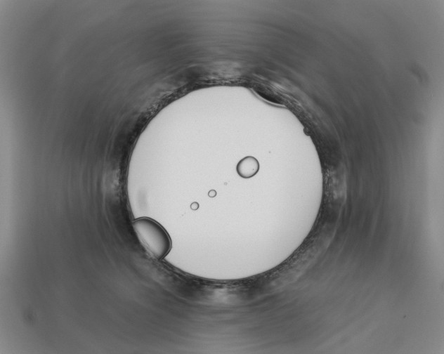 X0000113170564200910021525
