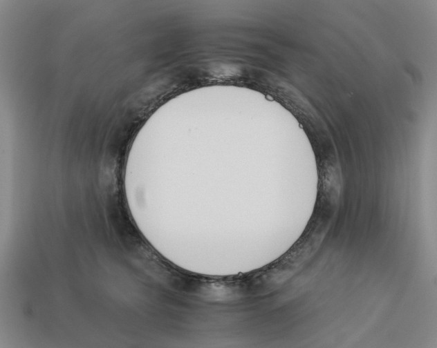 X0000113170565200910021525